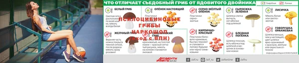 мескалин Магадан