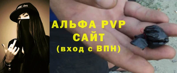 винт Абаза