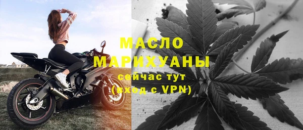 индика Абинск