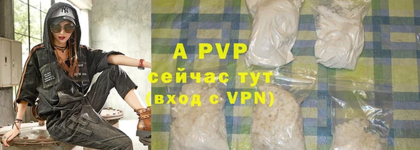 винт Абаза