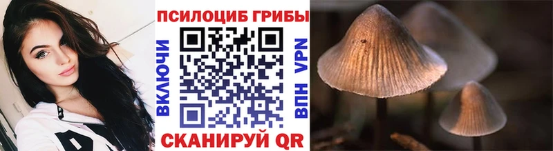 Галлюциногенные грибы GOLDEN TEACHER  mega ссылки  Ханты-Мансийск 